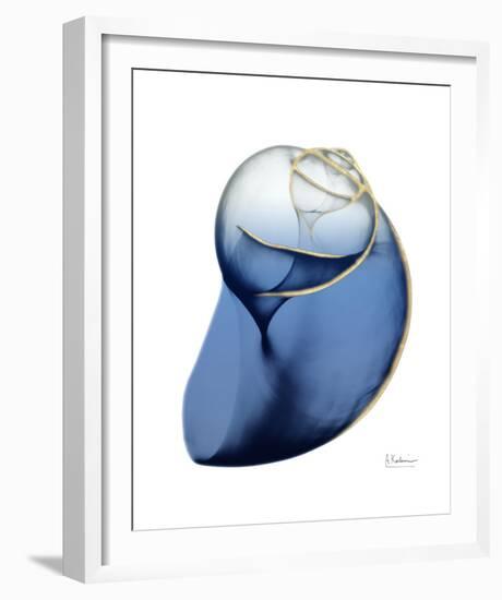 Shimmering Indigo Snail 2-Albert Koetsier-Framed Photo