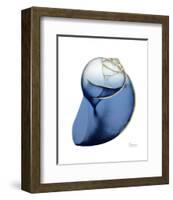 Shimmering Indigo Snail 2-Albert Koetsier-Framed Photo