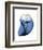 Shimmering Indigo Snail 2-Albert Koetsier-Framed Photo