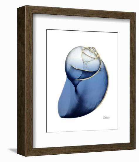 Shimmering Indigo Snail 2-Albert Koetsier-Framed Photo