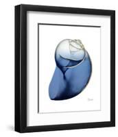 Shimmering Indigo Snail 2-Albert Koetsier-Framed Photo