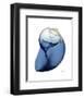 Shimmering Indigo Snail 2-Albert Koetsier-Framed Photo