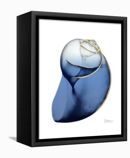 Shimmering Indigo Snail 2-Albert Koetsier-Framed Stretched Canvas