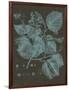 Shimmering Leaves II-Vision Studio-Framed Art Print