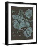 Shimmering Leaves II-Vision Studio-Framed Art Print