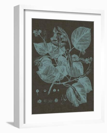 Shimmering Leaves II-Vision Studio-Framed Art Print