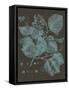 Shimmering Leaves II-Vision Studio-Framed Stretched Canvas