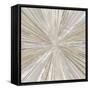 Shimmering Light II-Tom Reeves-Framed Stretched Canvas