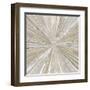 Shimmering Light II-Tom Reeves-Framed Art Print