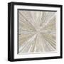 Shimmering Light II-Tom Reeves-Framed Art Print