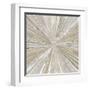 Shimmering Light II-Tom Reeves-Framed Art Print