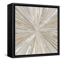 Shimmering Light II-Tom Reeves-Framed Stretched Canvas