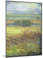 Shimmering Marsh II-H. Thomas-Mounted Art Print