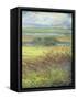 Shimmering Marsh II-H. Thomas-Framed Stretched Canvas