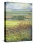 Shimmering Marsh II-H. Thomas-Stretched Canvas