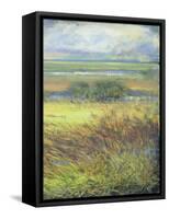 Shimmering Marsh II-H. Thomas-Framed Stretched Canvas