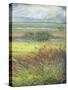 Shimmering Marsh II-H. Thomas-Stretched Canvas