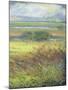 Shimmering Marsh II-H. Thomas-Mounted Art Print
