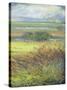 Shimmering Marsh II-H. Thomas-Stretched Canvas