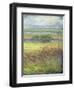 Shimmering Marsh II-H. Thomas-Framed Art Print