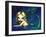 Shimmering Mermaid-Jasmine Becket-Griffith-Framed Art Print