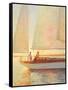 Shimmering Moment-Brent Lynch-Framed Stretched Canvas