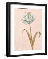 Shimmering Summer II Blush Crop-James Wiens-Framed Art Print