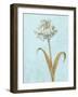 Shimmering Summer II REB Crop-James Wiens-Framed Art Print