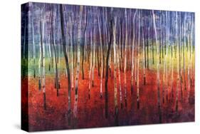 Shimmering Trees-Tim O'toole-Stretched Canvas