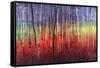 Shimmering Trees-Tim O'toole-Framed Stretched Canvas