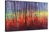 Shimmering Trees-Tim O'toole-Stretched Canvas