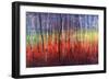 Shimmering Trees-Tim O'toole-Framed Giclee Print