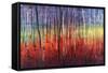 Shimmering Trees-Tim O'toole-Framed Stretched Canvas
