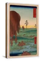 Shimosa Koganehara-Utagawa Hiroshige-Stretched Canvas