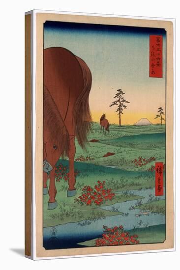 Shimosa Koganehara-Utagawa Hiroshige-Stretched Canvas