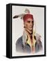 Shin-Ga-Ba W"Ossin or "Image Stone," a Chippeway Chief-James Otto Lewis-Framed Stretched Canvas