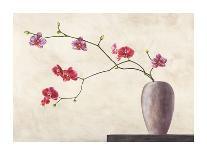 Velvet Orchids-Shin Mills-Stretched Canvas