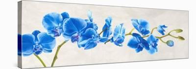 Velvet Orchids-Shin Mills-Stretched Canvas