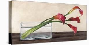 Modern Composition, Tulips-Shin Mills-Stretched Canvas