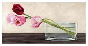 Modern Composition, Tulips-Shin Mills-Stretched Canvas