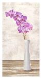 Blue Orchid-Shin Mills-Stretched Canvas