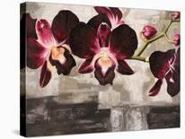 Blue Orchid-Shin Mills-Stretched Canvas