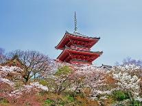 Heian Shrine in Spring, Shinto, Kyoto, Japan-Shin Terada-Photographic Print