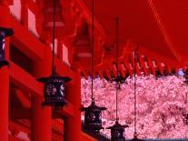 Cherry Blossom, Kyoto, Japan-Shin Terada-Photographic Print