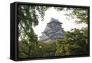 Framed Canvas