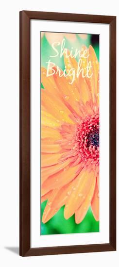 Shine Bright Daisy-Susan Bryant-Framed Art Print