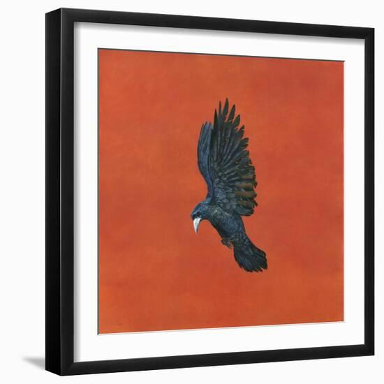 Shine-Red-Tim Hayward-Framed Giclee Print