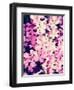 Shine-Natasha Wescoat-Framed Giclee Print