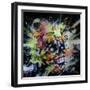 Shine-Taka Sudo-Framed Giclee Print