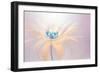 Shine-Jacky Parker-Framed Giclee Print